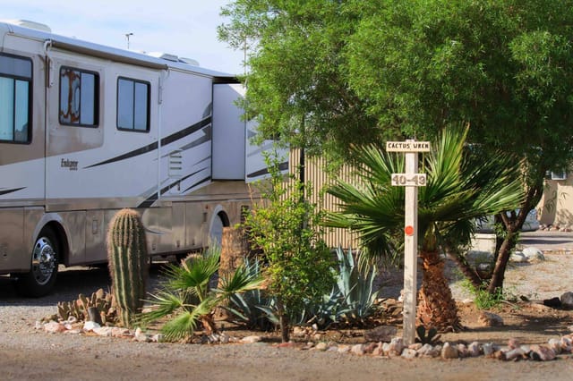 A cactus garden with saguaro and agave on Cactus Lane, beside a motorhome