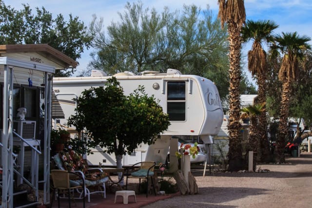 An RV site at Desert Edge with a shaded patio, a citrus tree and tall palms