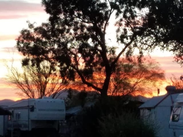 A fiery desert sunset through a tree, with RVs silhouetted below